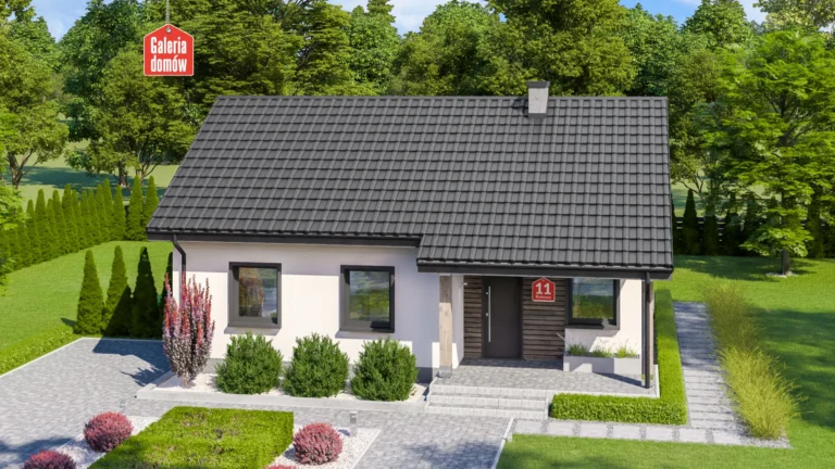 wizualizacja-do-projektu-dom-przy-bukowej-11-widok-1_481